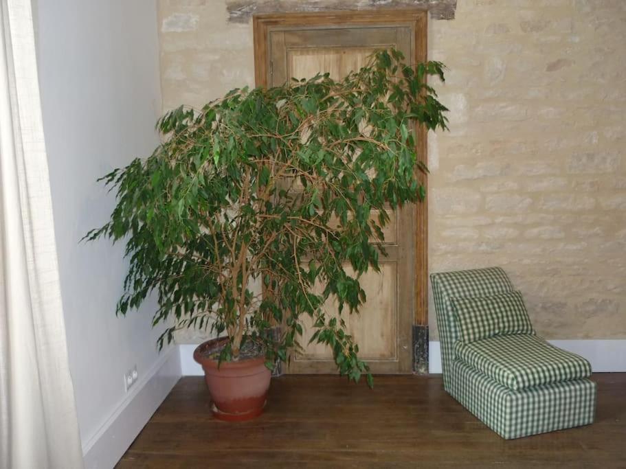 Le Presbytere - Touillon, Jacuzzi, 4 Chambres Pour 10 Εξωτερικό φωτογραφία